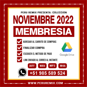 11 [ PERÚ REMIX ] – NOVIEMBRE 2022