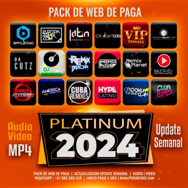 [ PLATINUM ANUAL ] - ENERO A DICIEMBRE 2024